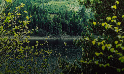 Ecosse